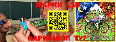 молекула духа Новозыбков