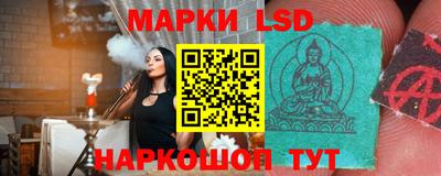 молекула духа Новозыбков