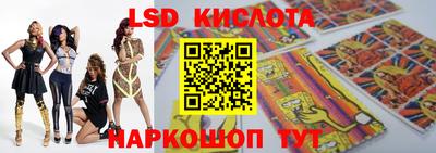 молекула духа Новозыбков