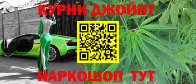 шишки Новокубанск